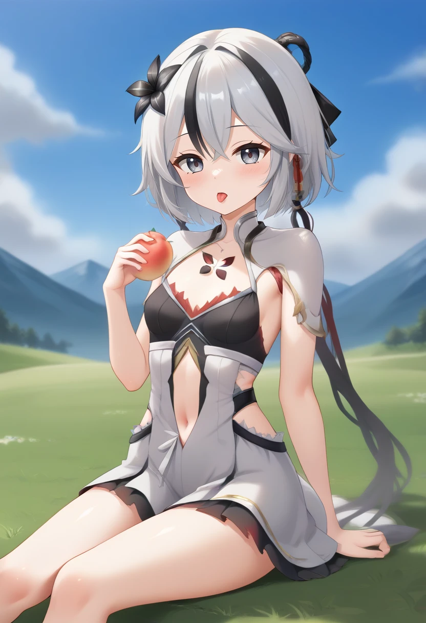 1girl, solo, small breasts, black hair, hair ornament, dress, navel, single pantsleg, white hair, multicolored hair, hair flower, grey eyes, sitting, seiza, grass, outdoors, mountainous horizon, clouds, holding fruit, peach \(fruit\), licking peach, looking at viewer, blush <lora:SDXL_Hyper:1>  <lora:Timm_Style_XL:1> <lora:StaC:1>