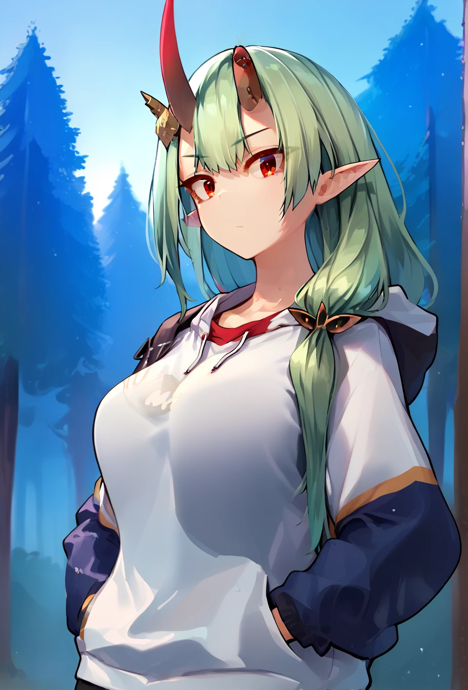 masterpiece,best quality, highly detailed, score_9, score_8_up, score_7_up, score_6_up, source_anime, rendered, BREAK, female focus, 1girl, cowboy shot, dutch angle, from below, portrait, akaribaffu, long green hair, hair over shoulder, bangs, red eyes, large breasts, pointy ears, oni horns, broken horn,
oversized (white hoodie jacket:1.2), bottomless, hands in pockets, looking at viewer, eye contact, outdoors, forest, night time, night, glistening skin, 