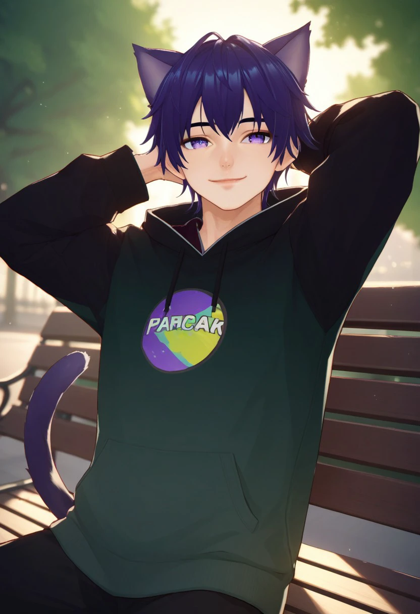 end_vtuber_dusk, source_anime, newest, 1boy, male focus, solo, animal ears, hoodie, hood, cat ears, purple eyes,  smile,  purple hair, sitting, park bench, virtual youtuber, gradient hair, specular highlights, side lighting, city view, outdoors, extreme light and shadow, cinematic lighting, cinematic angle, close up, arms behind head, natural lighting, score_9, score_8_up, score_7_up, score_6_up, score_5_up, score_4_up,