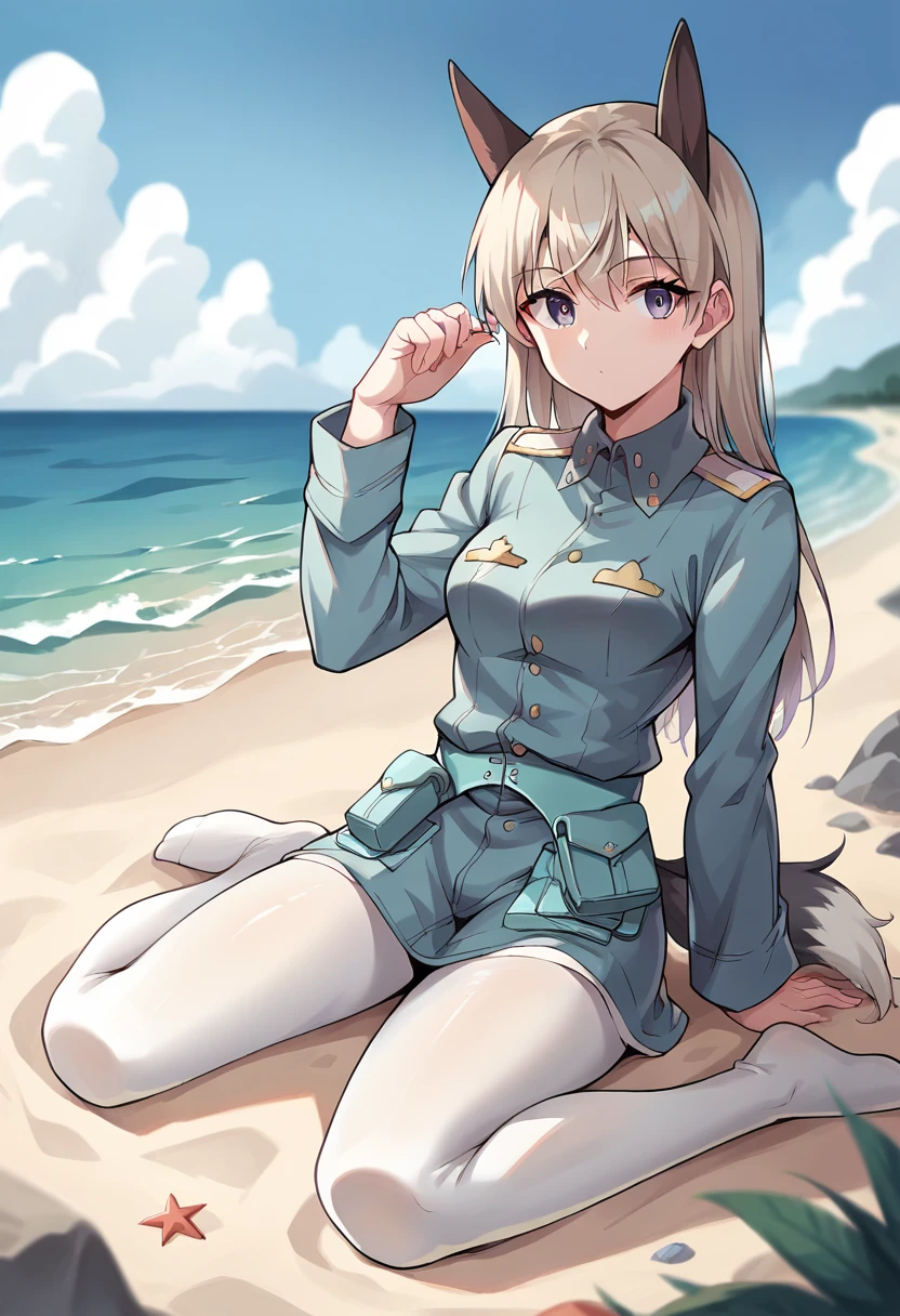 score_9, score_8_up, score_7_up, source_anime, masterpiece, 1girl, ctianelia, light blue uniform, cyan belt pouch, white pantyhose, fox ears, fox tail, fox girl, beach, outdoors, sunny, ocean, sitting, sand, scenery, depth of field, looking at viewer, cinematic,<lora:Eila_strike_witches_pony_ct:1>