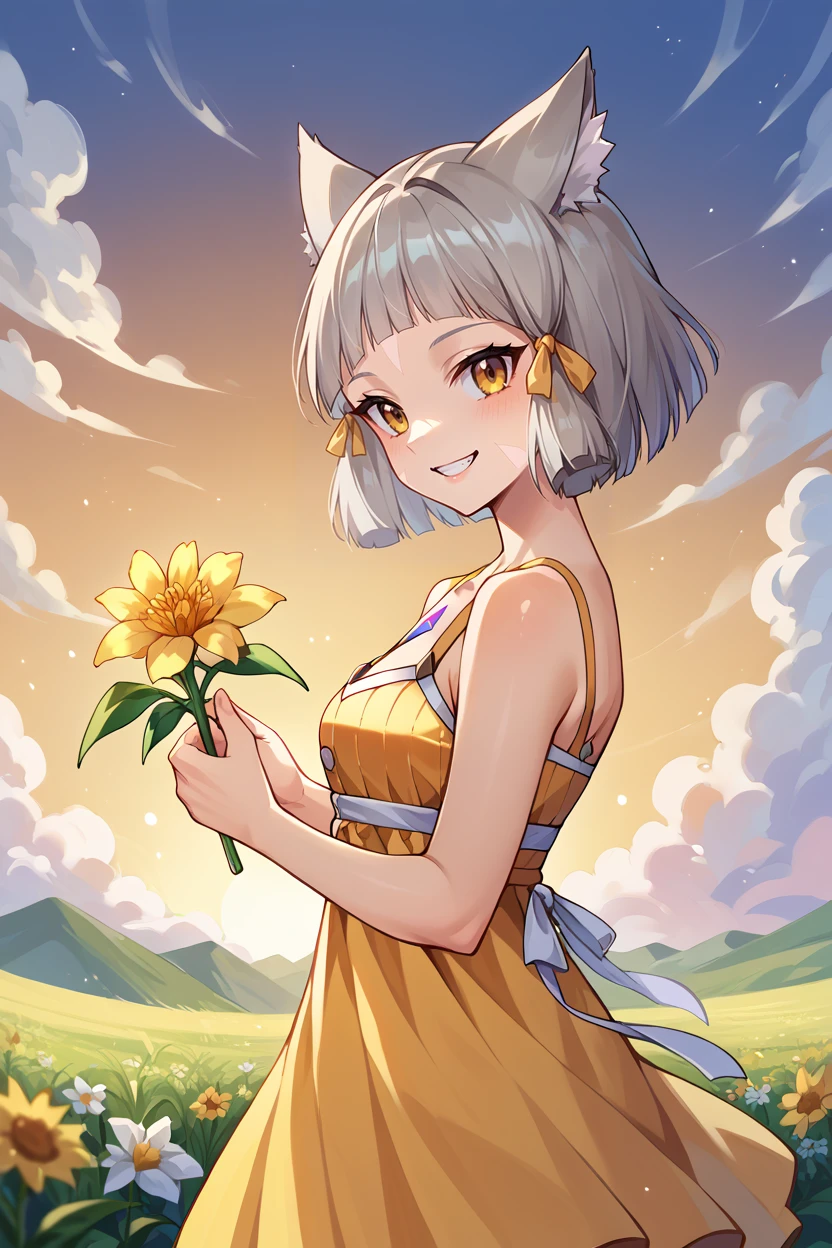 score_9, score_8_up, score_7_up, score_6_up, source_anime BREAK 1girl, solo <lora:nia-pdxl-nvwls-v1-000006:1> xc2Nia, cat ears, grey hair, short hair, blunt bangs, facial mark, hair ribbon, chest jewel, yellow sundress, holding flower, sunset, field, from side, looking at you, smile