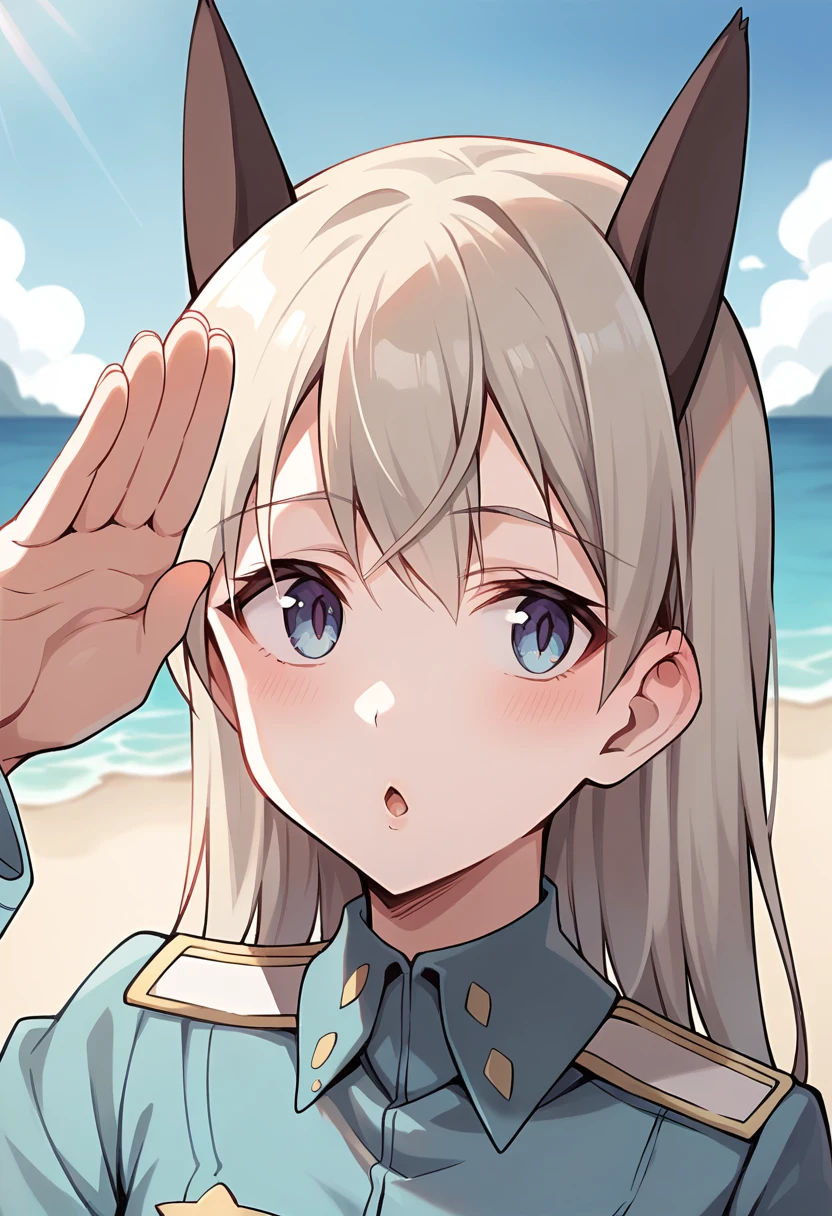 score_9, score_8_up, score_7_up, source_anime, masterpiece, 1girl, ctianelia, light blue uniform, cyan belt pouch, white pantyhose, fox ears, fox tail, fox girl, upper body, salute, chestnut mouth, beach, outdoors, sunny, ocean, scenery, depth of field, looking at viewer, cinematic,<lora:Eila_strike_witches_pony_ct:1>