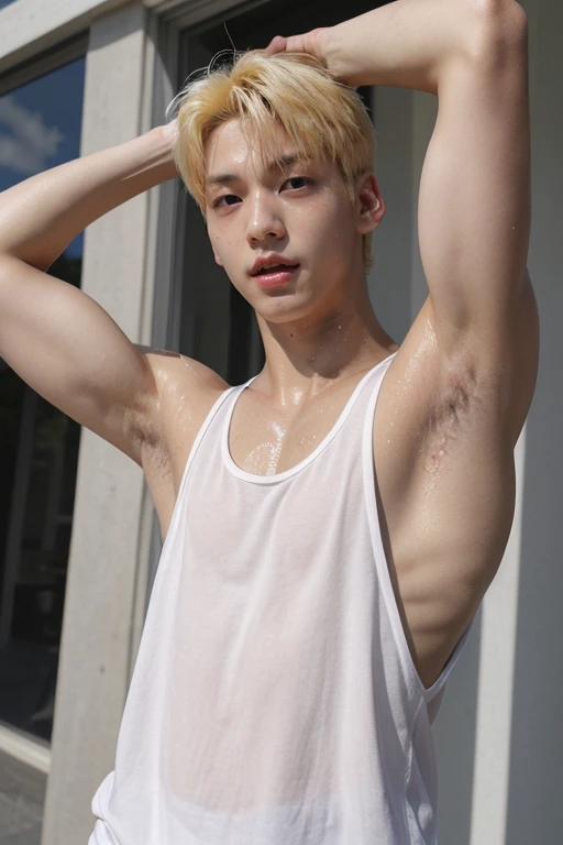 soobin, face, muscular, arms up, blond hair, fit tank top, tank top, oily, sweaty, shiny_skin, <lora:NSFWFilter:-1> (highres, ultra detailed) ((masterpiece)), ((best quality:1.1)), High Resolution, 8k,1boy, masterpiece, (photorealistic:1.4), 4k, high quality, masterpiece, dynamic poses, looking at viewer  <lora:soobin-000004:1>  <lora:oil2.0_2-512-64:0.6>