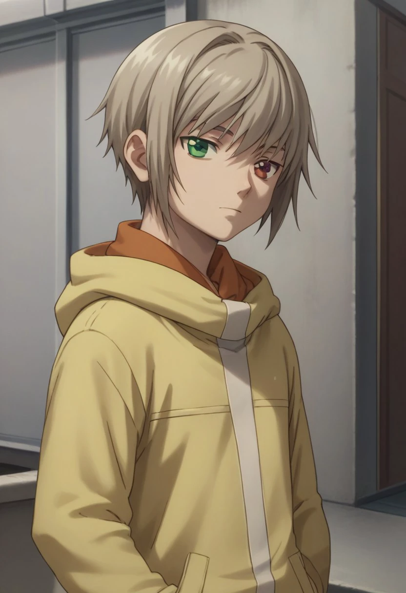 score_9, score_8_up, score_7_up, source_anime, highly detailed, slender,
maki, solo, light bron hair, short hair, heterochromia, green eye, red eye, 1boy, male focus, red eyes, green eye, hood, hoodie, yellow hoodie, purple pants, pants,  upper body,