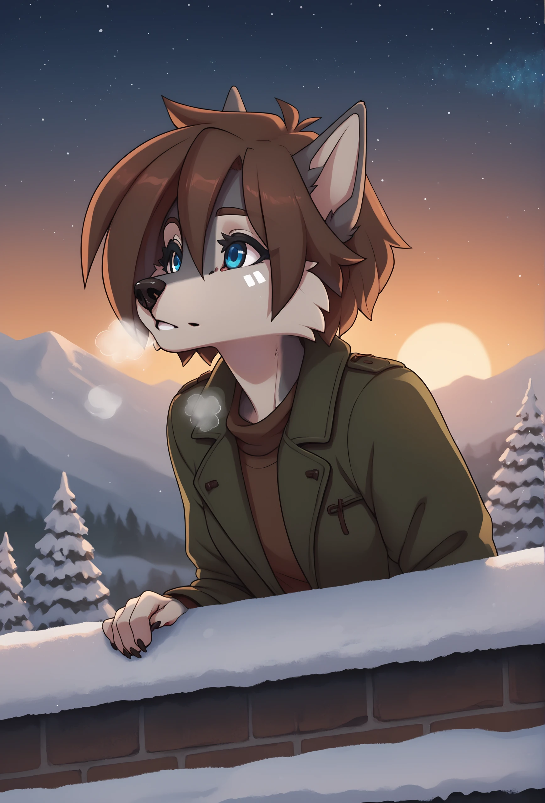 score_9, score_8_up, score_7_up, score_6_up, score_5_up, score_4_up, outdoors, evening, sunset, village, starry sky, lamppost, hanging plant, city, snow,
 <lora:tala_fluffkevlar_ponyXL_v1.1:1> tala, furry, 1girl, solo, medium hair, blue eyes, green jacket, brown shirt, facial tattoo, portrait, parted lips, breath, grey fur