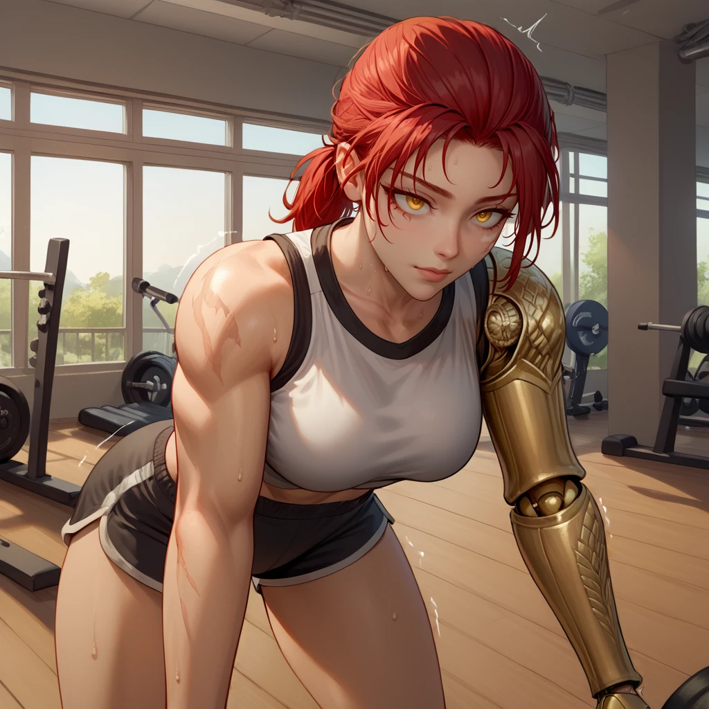 score_9,score_8_up,score_7_up,perfect anatomy,source_anime,
1girl,solo focus,cowboy shot,<lora:Mil (7):1>,millicent (elden ring),red hair,yellow eyes,ponytail,scar,prosthetic arm,gym shirt,gym shorts,indoors,gym,push ups,exercise,sweat,shaking,