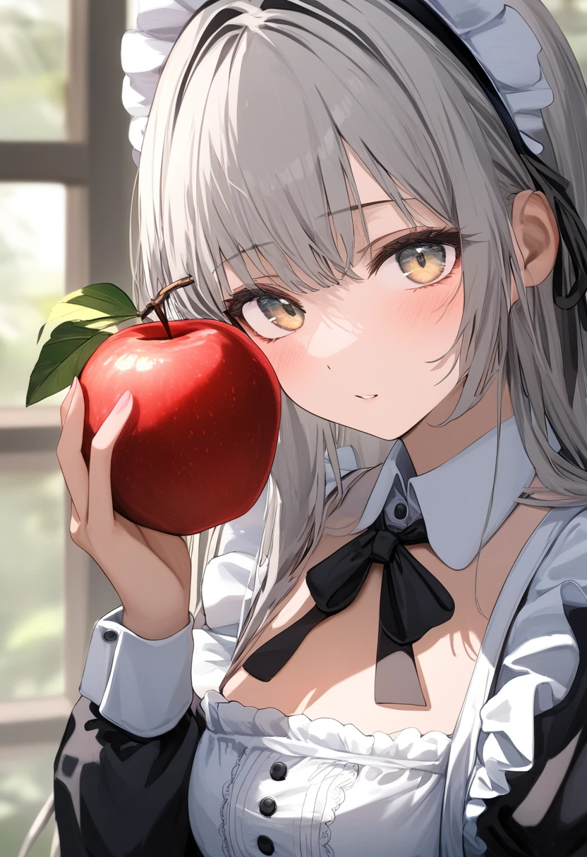 1girl,solo,Grey hair,long hair,maid's outfit,close-up of face,looking at viewer,holding apple,
newest,very aesthetic,highly detailed,best quality,absurdres,detailed,HDR,natural light,