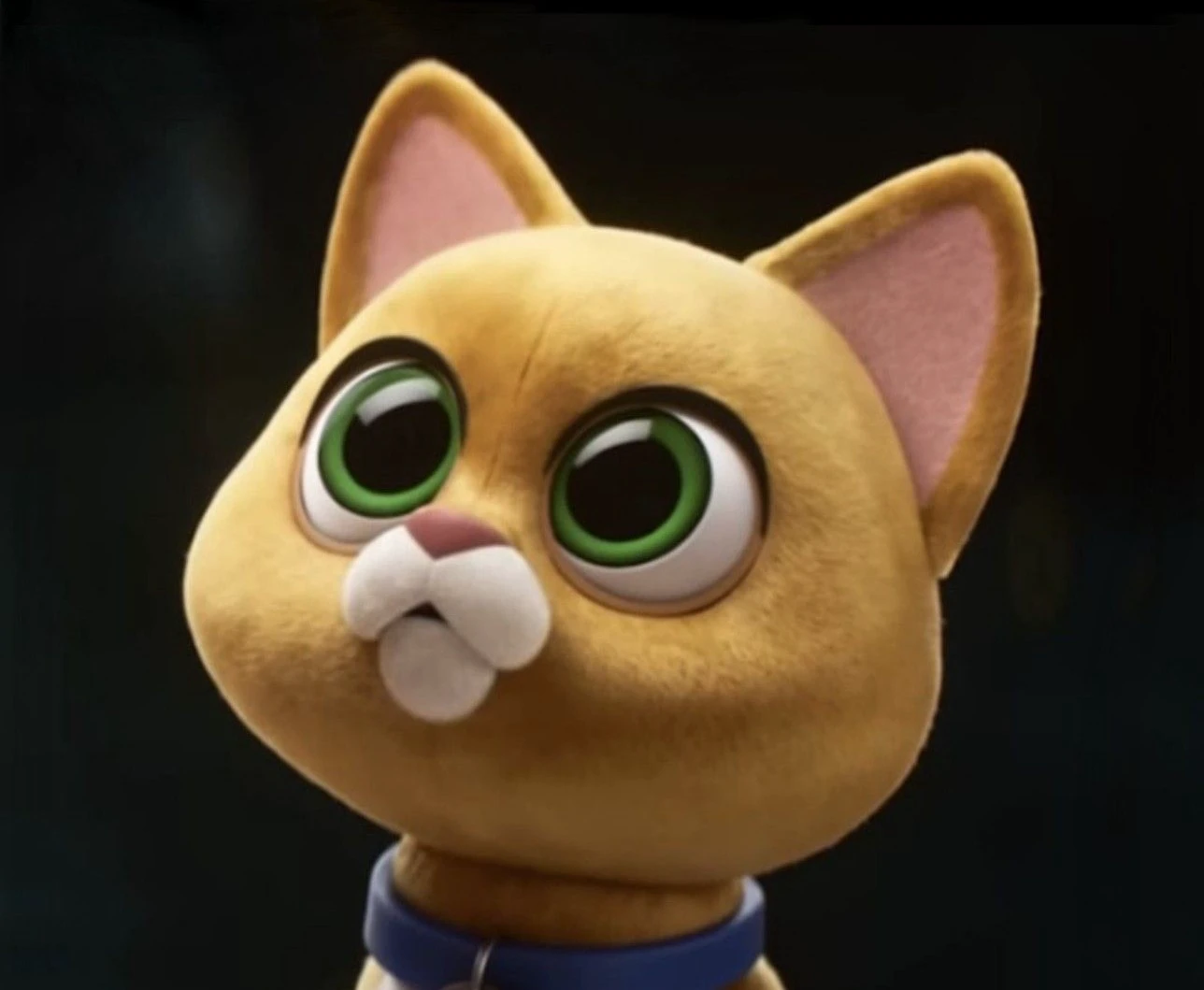 Solo, cartoon, cat, big eyes, open mouth