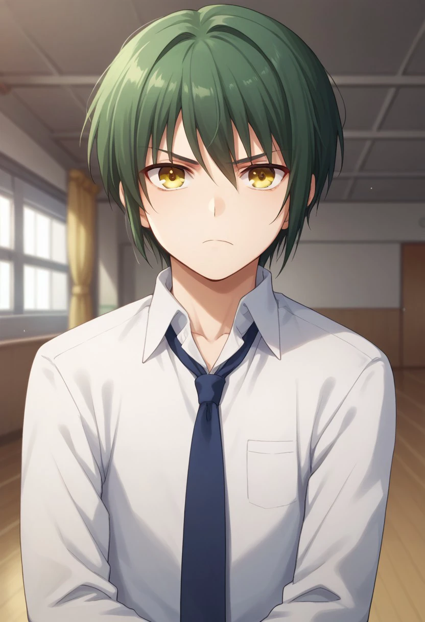 score_9, score_8_up, score_7_up, source_anime, highly detailed, 
ayato, solo, 1boy, male focus, yellow eyes, school uniform,  necktie, looking at viewer, green hair, shirt, white shirt, frown,
indoor, school,