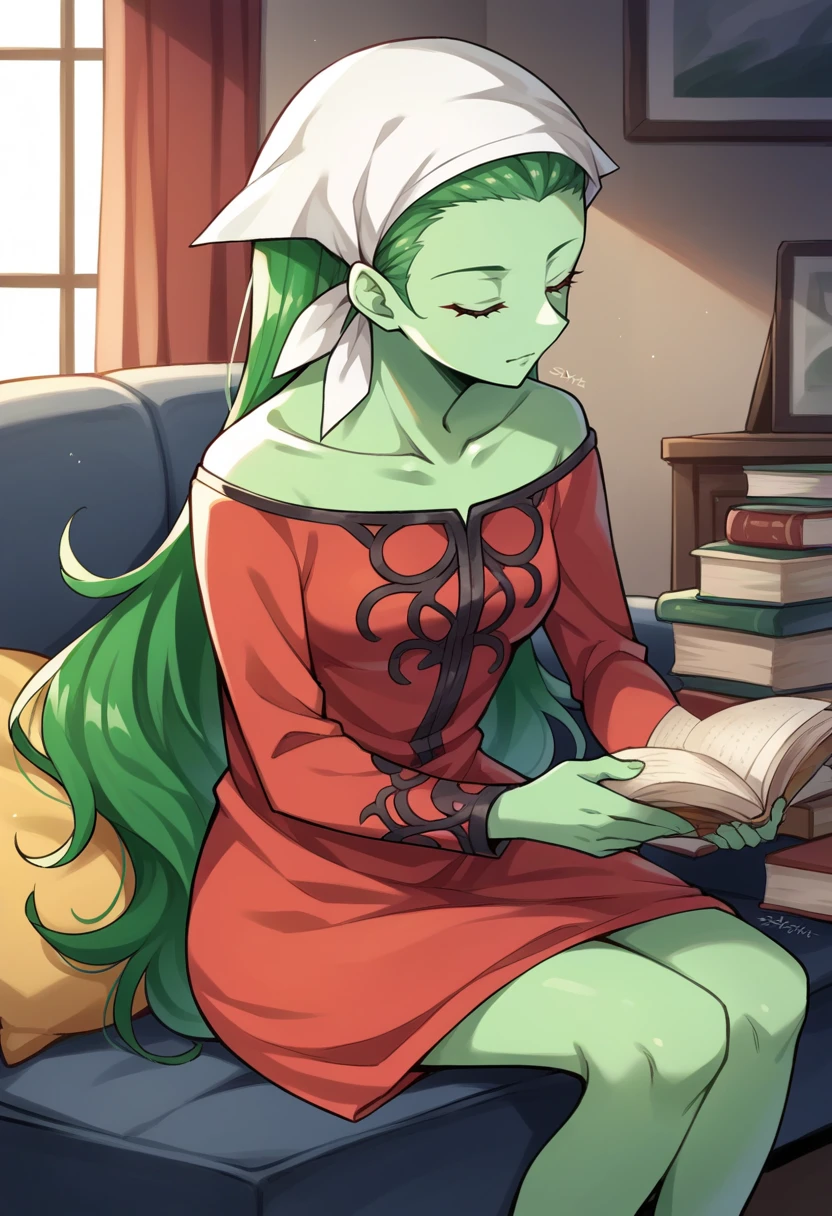 score_9, score_8_up, score_7_up, source_anime BREAK, 1girl, solo,
 <lora:zs_SilkyXL:1> silkysmt, green hair, long hair, green skin, colored skin, head scarf, red dress
living room, sitting, reading book