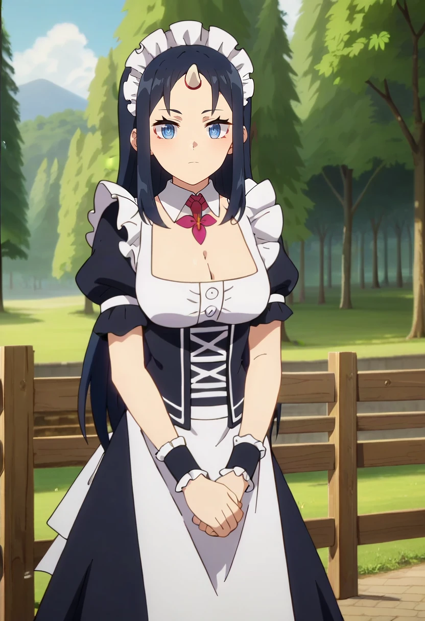 score_9, score_8_up, score_7_up, anime screencap,
<lora:IsekaiNonbiriNouka_AnnXL:0.8>, AnnINN,
1girl, solo, closed mouth,
black hair, long hair, blue eyes, forehead, single horn,
maid headdress, black dress, black corset, cross-laced clothes, detached collar, cleavage, puffy short sleeves, apron, frills, wrist cuffs,
standing, looking at viewer, own hands together,
photo background, forest, scenery, tree, building, fence, wood