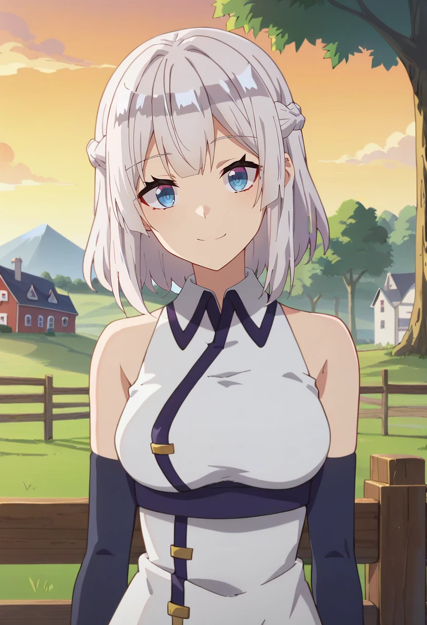 score_9, score_8_up, score_7_up, anime screencap,
<lora:IsekaiNonbiriNouka_HakurenXL:0.8>, HakurenINN,
1girl, solo, closed mouth, light smile, 
white hair, medium hair, blue eyes, french braid,
collared dress, white dress, bare shoulders, elbow gloves, purple gloves,
standing, looking at viewer, head tilt, arms at sides,
field, scenery, tree, building, house, fence, wood