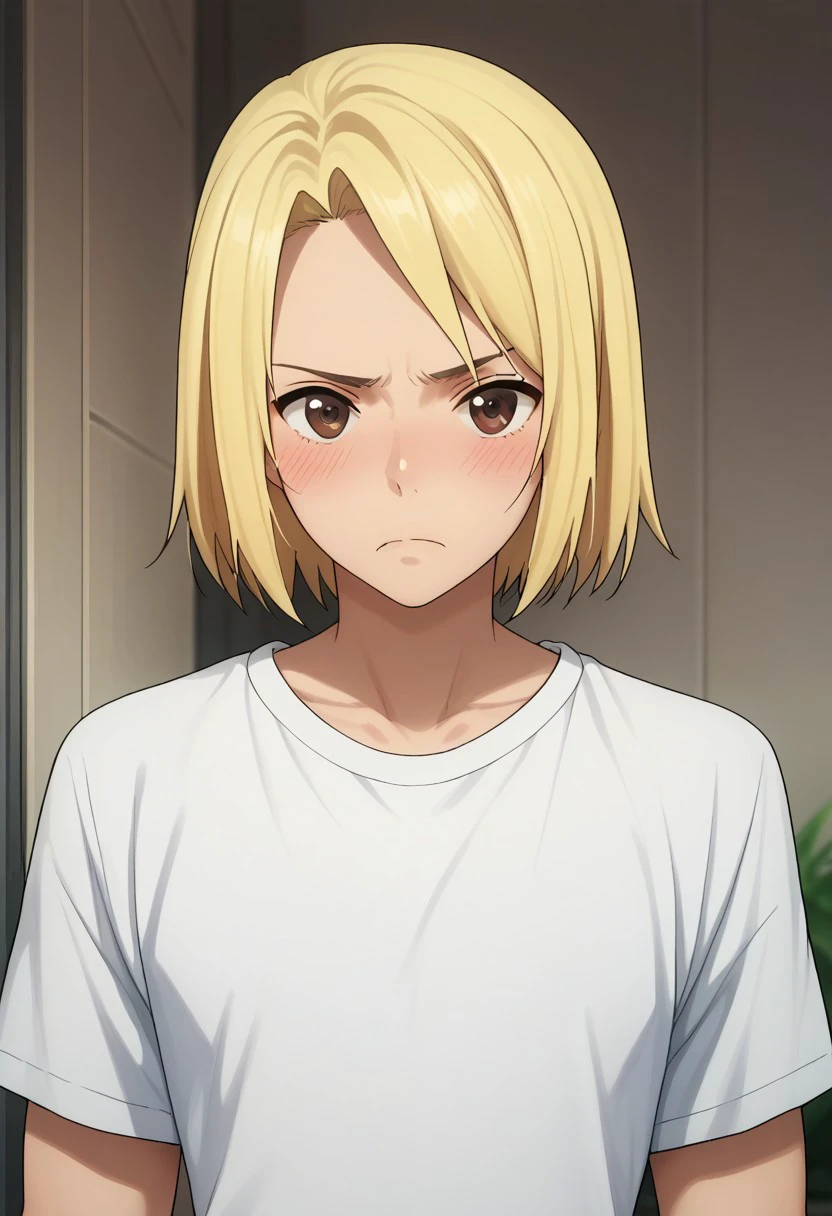 score_9, score_8_up, score_7_up, source_anime, highly detailed, 
quenser, 1boy, blonde hair, male focus, solo, brown eyes, shirt, anime coloring, upper body, white shirt,
indoor, blush, frown,