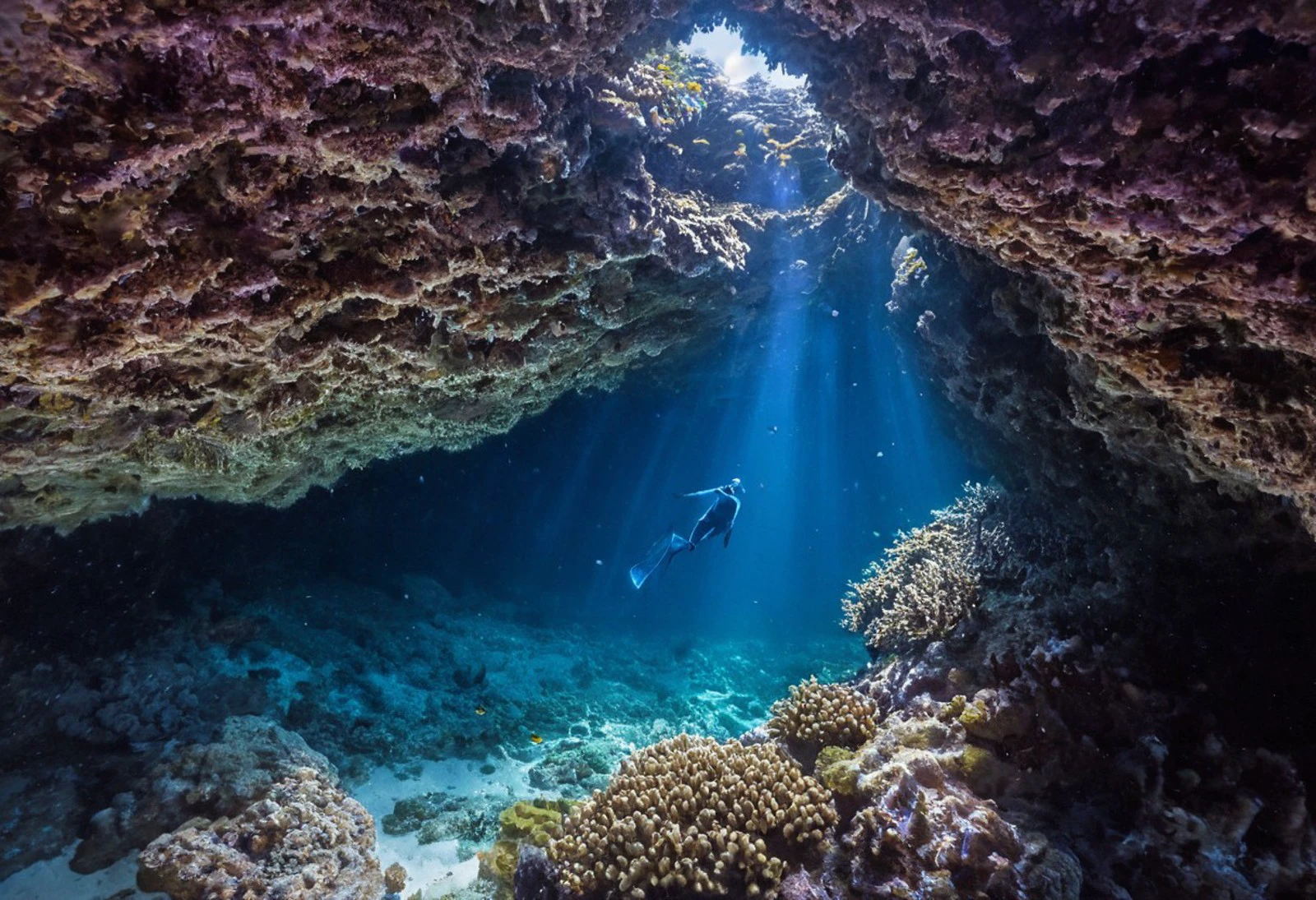 (absolutely highly detailed underwater photo), grotto, (underwater cave:1.6), soft corals, coral reef environment, wide shot, (looking down:1.4), fish, sea floor
sun rays, volumetric light
(best quality, incredible detail, ultra high skin detail:1.2) (cool light:1.5) (underwater:1.5) (skinny:1.3) (tight short wetsuit:1.4) (tight shorts:1.5) (floating hair:1.4) (skintight:1.4) (no wrinkles:1.3)
