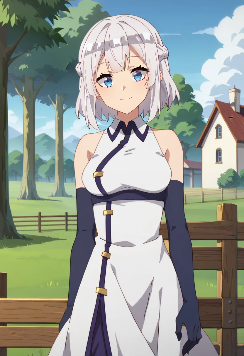 score_9, score_8_up, score_7_up, anime screencap,
<lora:IsekaiNonbiriNouka_HakurenXL:0.8>, HakurenINN,
1girl, solo, closed mouth, light smile, 
white hair, medium hair, blue eyes, french braid,
collared dress, white dress, bare shoulders, elbow gloves, purple gloves,
standing, looking at viewer, head tilt, arms at sides,
field, scenery, tree, building, house, fence, wood