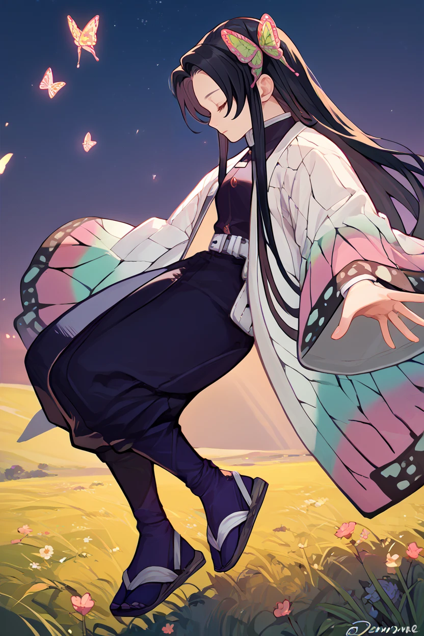 score_9, score_8_up, score_7_up, score_6_up, source_anime, 1girl, solo, <lora:dskanae-pdxl-nvwls-v1-000005:1> dsKanae, black hair, long hair, butterfly hair ornament, black shirt, white coat, wide sleeves, white belt, black pants, sandals, profile, closed eyes, outstretched arms, night sky, field