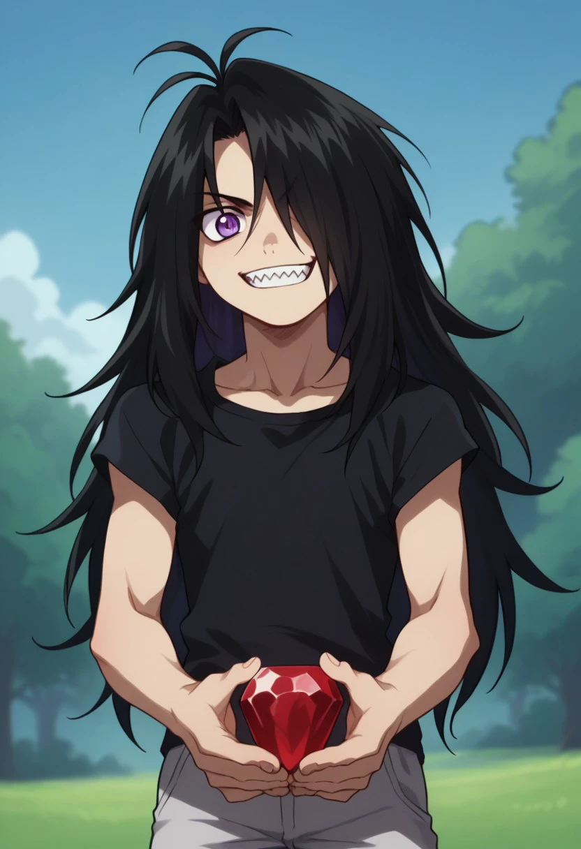 score_9, score_8_up, score_7_up, source_anime, highly detailed, 
wrath_fma, solo, long hair, black hair, antenna hair, hair over one eye, male focus, 1boy, purple eyes, black shirt, slender, skinny, cute, grin, sharp teeth, hold, holding red gem,
outdoor,