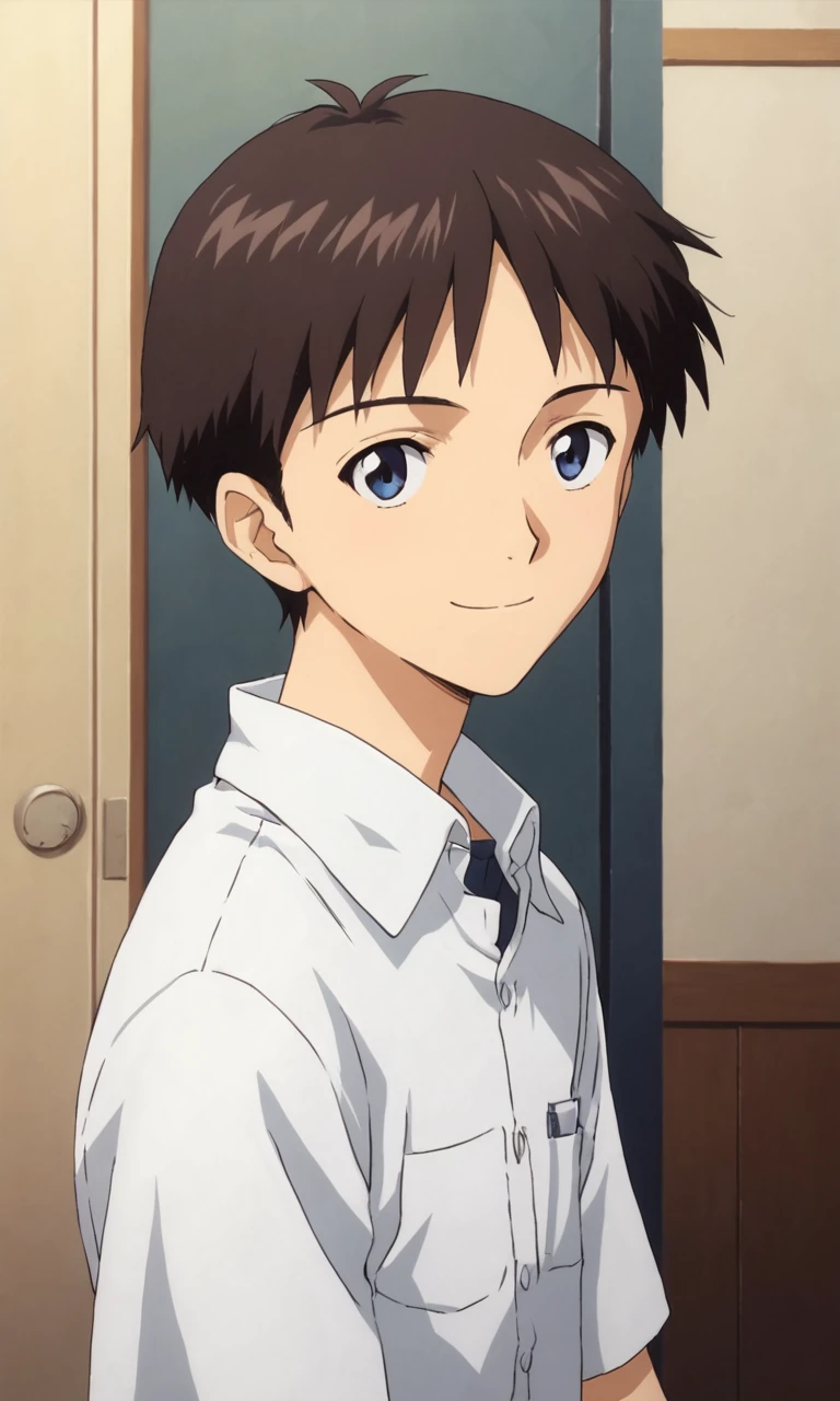 score_9, score_8_up, score_7_up, source_anime, masterpiece, best quality, lots of details, lab hallway background, detailed lighting, BREAK
1boy, solo, 18 years old, adult, shinjieva, dark brown hair, blue eyes, short hair, white shirt, short sleeves, side view, looking at viewer, smile