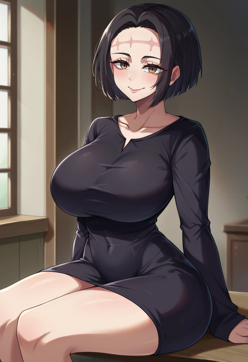 score_9,score_8_up,score_7_up BREAK <lora:kaori:0.9>,KaoriItadoriSDXL,1girl,short hair,brown eyes,black hair,large breasts,long sleeves,black dress,scar on face,cowboy shot,room,room background, sitting, light smile,