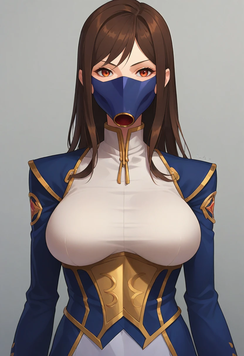 score_7_up,anime,1girl,solo,large breasts,cowboy shot,<lora:fellamask_XL_v1_wasabiya:1>,blue trim fellamask, upper body,