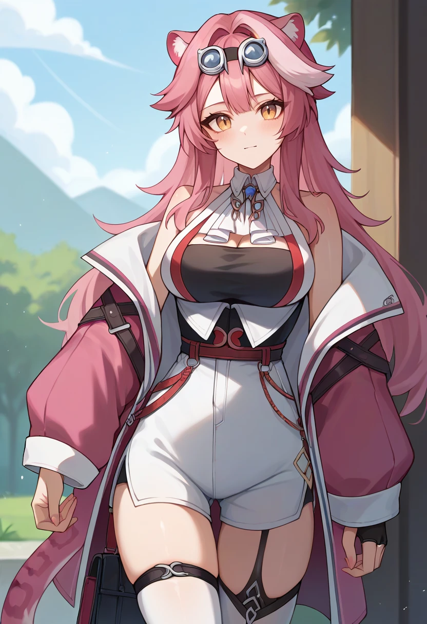 score_9,score_8_up,score_7_up,score_6_up,score_5_up,score_4_up,
1girl, raora panthera, long hair, animal ears, animal ear fluff, hair intakes, large breasts, goggles on head, pink jacket,white vest, black tube top, white ascot, single glove, black partially fingerless gloves, high-waist white shorts, white thighhighs, thigh strap, cleavage, garter straps,
cowboy shot, solo, looking at viewer, outdoors,
<lora:raoraponyxl:1>