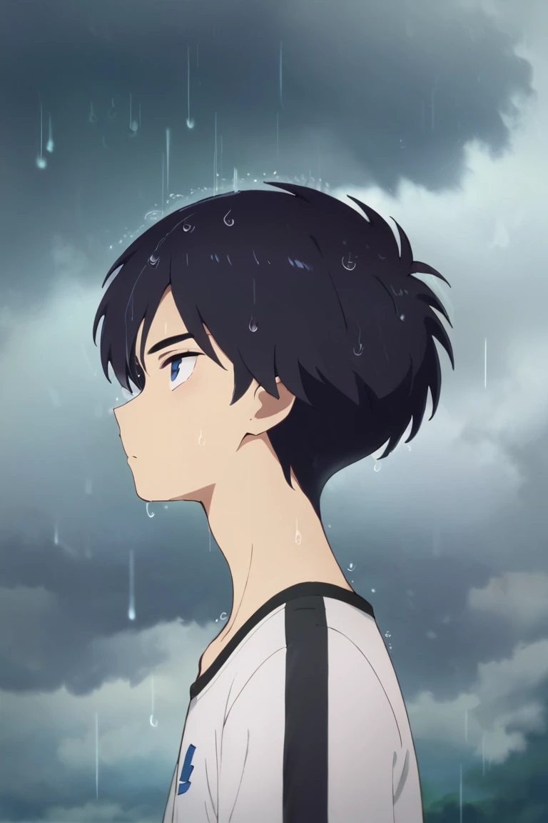 score_9,score_8_up,score_7_up,source_anime,1boy, solo,Kosuke Kumagaya,black hair,blue eyes,standing,shirt,shorts,from side, rain,raining, sky, cloud, upper body, looking up<lora:EMS-423016-EMS:1.000000>