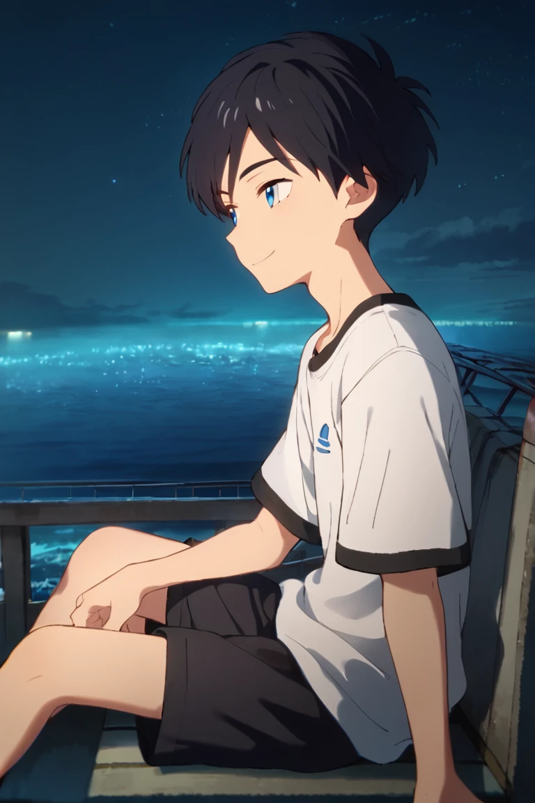 score_9,score_8_up,score_7_up,source_anime,1boy, solo,Kosuke Kumagaya,black hair,blue eyes, shirt,shorts,close-up, night, sky, smile, sea, sitting, pov, from side<lora:EMS-423016-EMS:1.000000>