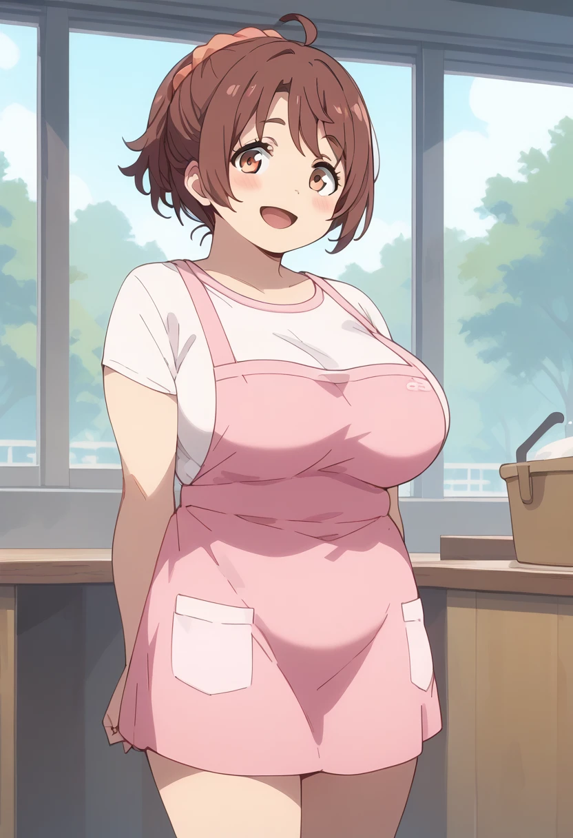 (score_9,score_8_up,score_7_up,score_6_up,score_5_up),anime screencap,school,
BREAK
1girl,AnnaHanyu, plump, solo, blush, smile, open mouth, large breasts, brown hair,nude,pink apron,looking at viewer, <lora:AnnaBuddy:1>