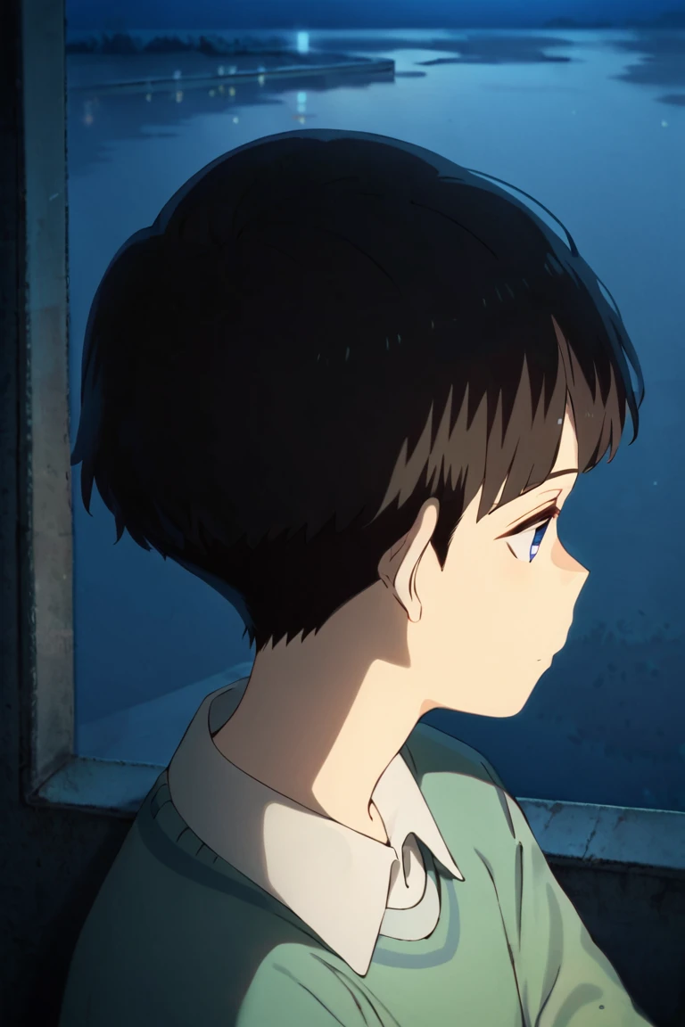 score_9,score_8_up,score_7_up,source_anime,1boy, solo,noppo,black hair, blue eyes, bangs,short hair,sweater,collared shirt, close-up, night,reflection, sitting<lora:EMS-423735-EMS:1.000000>