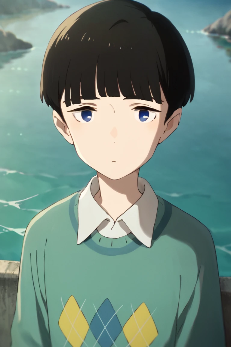 score_9,score_8_up,score_7_up,source_anime,1boy, solo,noppo,black hair, blue eyes, bangs,short hair,sweater,collared shirt,argyle, sea, looking_at_viewer<lora:EMS-423735-EMS:1.000000>