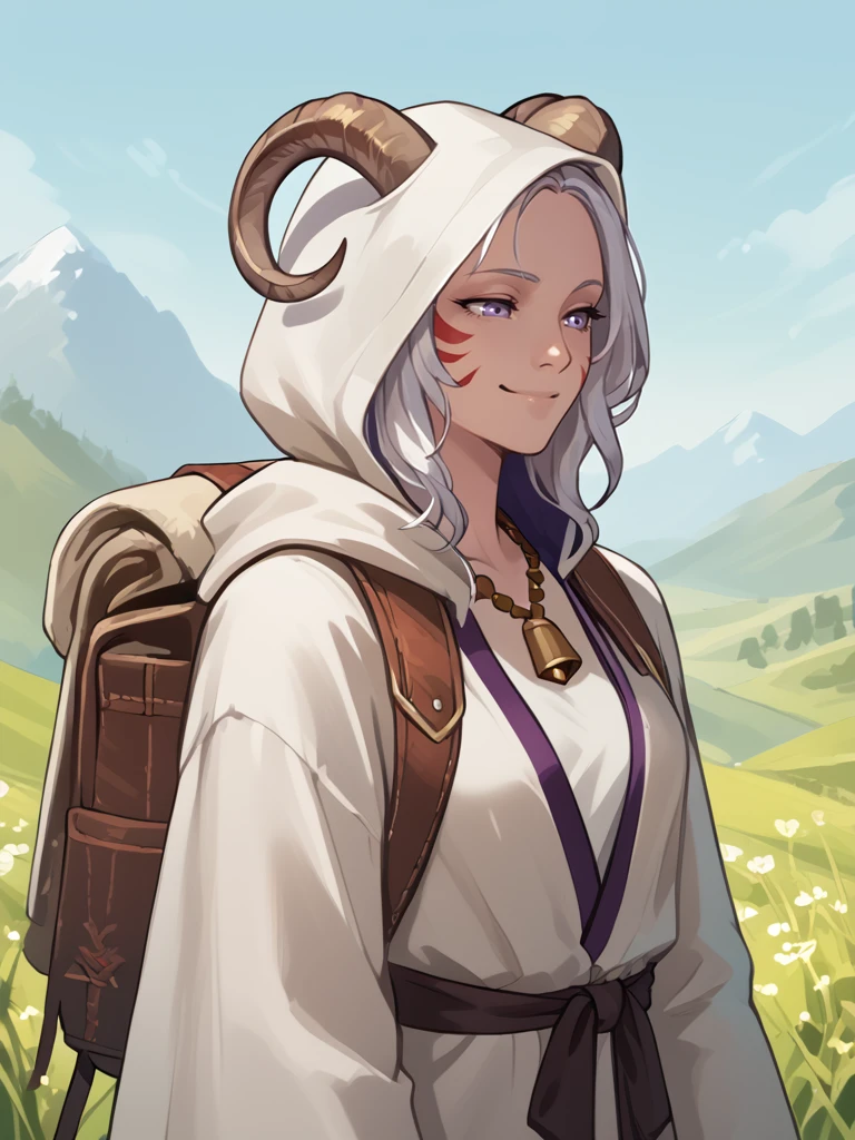 source_furry, score_7_up, rating_safe, 
tiefling_bard_Diana:1.2, silver hiar, meadow,  robe:1.2, standing back, smile, solo, back, close up, 
purple eyes, <lora:whisker_markings:0.4>red whisker_markings, bell necklace, 
 <lora:Nanoless_Artist_Style_PonyXL:0.2> <lora:age_slider_v4:0.7> 
<lora:Test_Diana:0.7>, hood up, 
 <lora:Adventure_backpack:0.7> adventure_backpack:1.3,