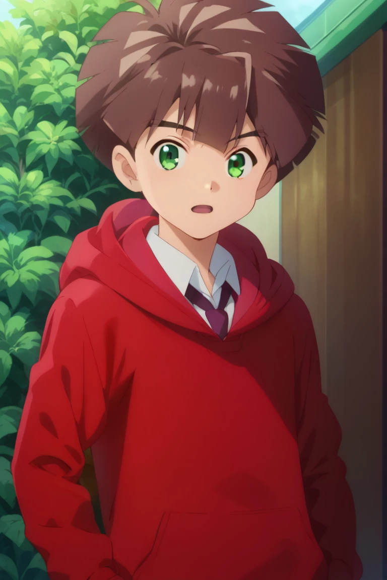 score_9, score_8_up, score_7_up, score_6_up, detailed, intricate details,best quality ,source_anime, cowboy shot,
hiro amanokawa, brown hair, green eyes, red hoodie, 1boy, male focus, solo, necktie, open mouth, hood, looking at viewer, hoodie, anime coloring, shirt, outdoors<lora:EMS-421264-EMS:1.000000>