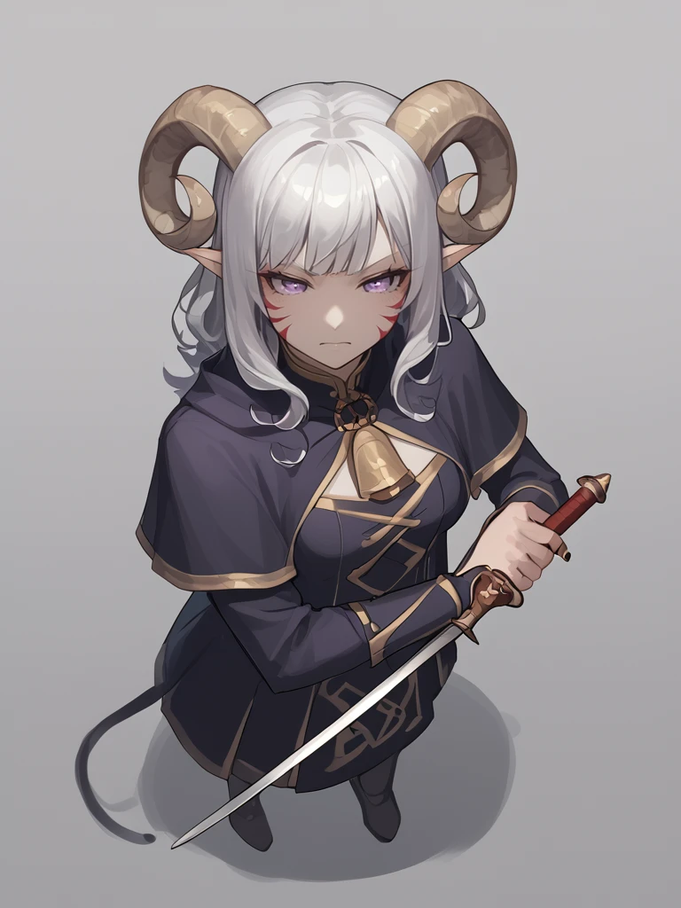 source_furry, score_7_up, rating_safe, source_anime, anime face, 
<lora:whisker_markings:0.8> red whisker_markings ,
<lora:Test_Diana:0.7> tiefling_bard_diana, silver hair, purple eyes, 
rapier:1.9, holding rapier, holding weapon, <lora:rapier:0.8> cowboy shot,from above,