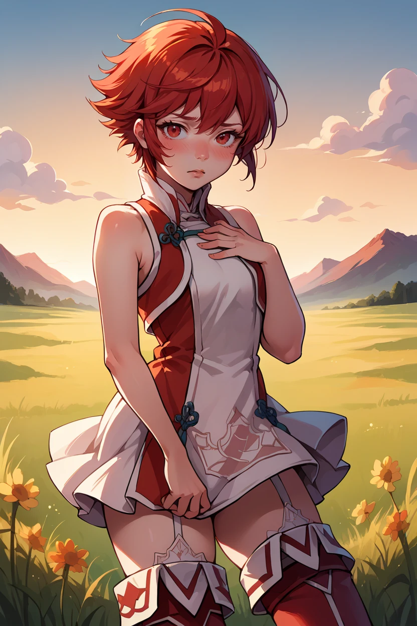 score_9, score_8_up, score_7_up, score_6_up, source_anime, 1girl, solo, <lora:fehinoka-pdxl-nvwls-v1-000006:1> hinoka, red hair, red eyes, short hair, bare arms, red and white dress, garter straps, red thighhighs, thigh boots, looking at you, field, sunset, standing, hand on own chest, blush