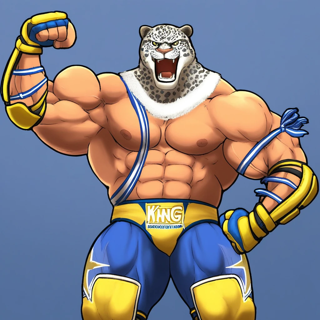 Tekkan King V1