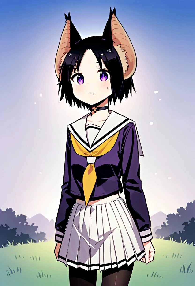 core_9, Score_8_up, Score_7_up,Chii Suimori, bat girl, short hair, black hair, bat ears, fluff on ears, (purple eyes:1.1), skirt, school uniform, pleated skirt, serafuku, white skirt, shirt, purple shirt, sailor collar, white sailor collar, long sleeves, handkerchief, yellow handkerchief, long pantyhose, black pantyhose, choker with cross smile, neckerchief, outdoor, sky, grass, (artwork: 0.8), (beautiful detailed eyes: 1.2), perfect lighting, extremely detailed CGI, (perfect anatomy; 1.2),( standing; 1.2)