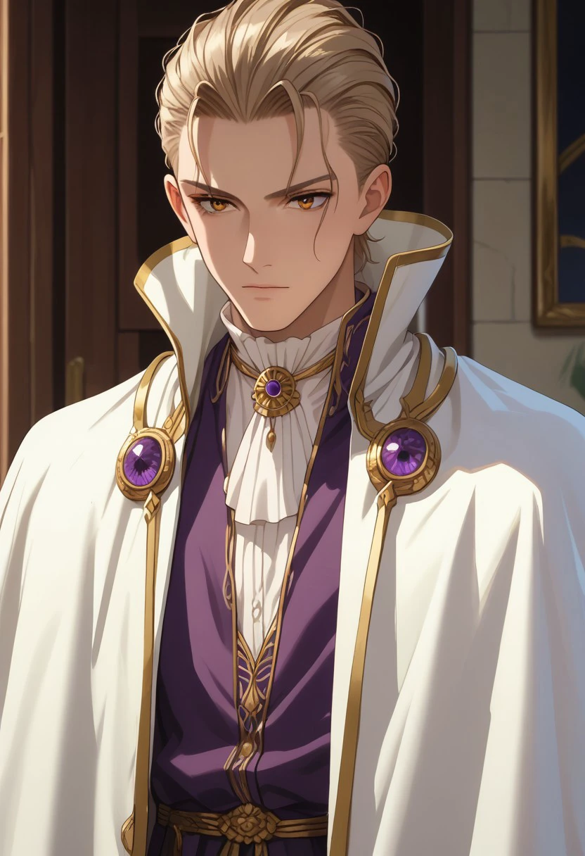 score_9, score_8_up, score_7_up, source_anime, rating_safe, hair slicked back,, Benook, 1boy, male focus, anime screencap, collared white-gold cape, purple robe