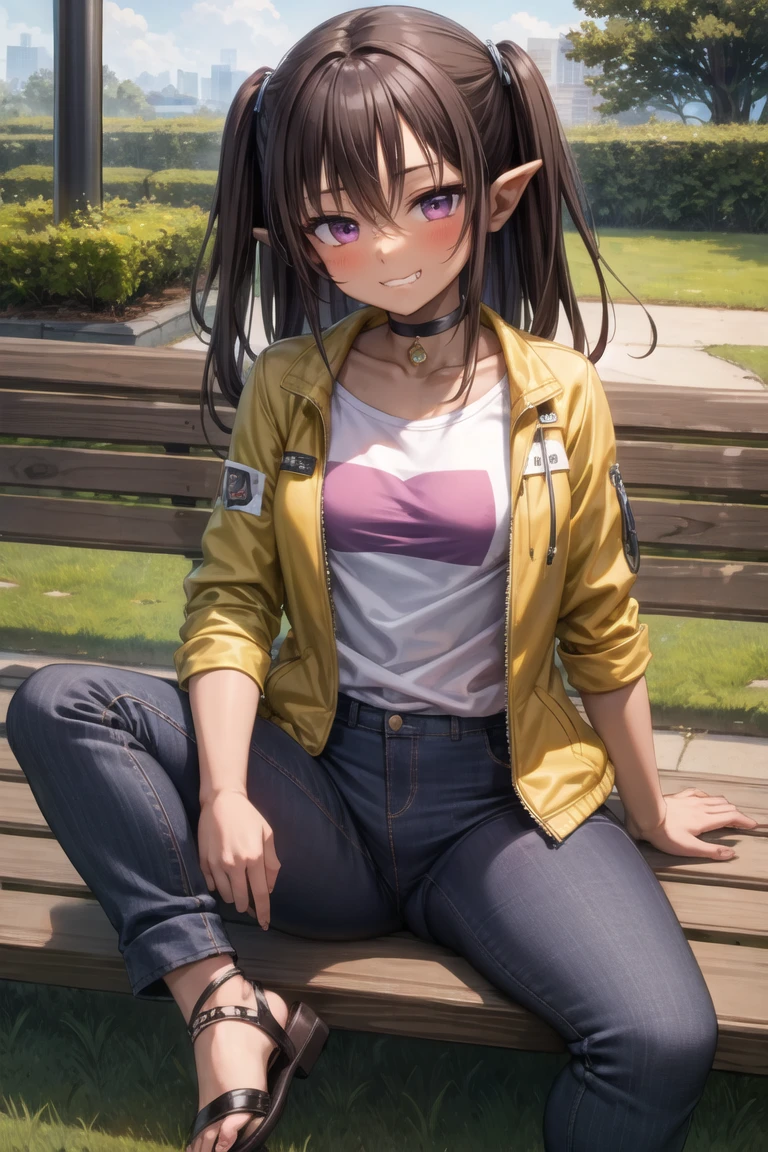 (best quality, masterpiece:1.3), 1girl, solo, dark skin, dark-skinned female, 
looking at viewer, bench, park, sitting on a chair (spread legs:1.1), grin, (:3:1.2),
(long pants:1.2), bare feet, (jacket:1.2), (colorful t-shirt:1.1), (medium breastst:1.0),
brown hair, (two side up:1.1), purple eyes, expressionless, empty eyes, pointy ears, 
(choker:1.1), (sandals:1.1), 
<lora:sakuraprin-10:0.7:lbw=ALL>