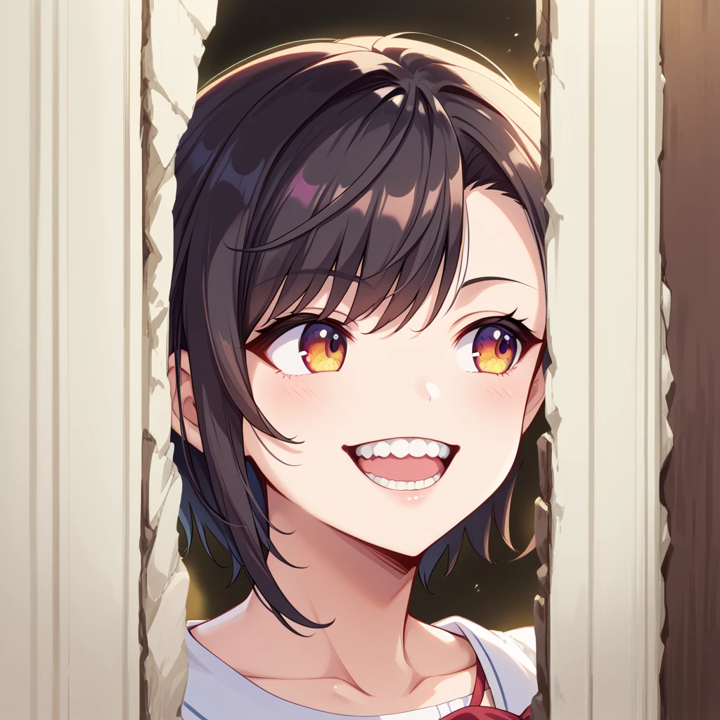 score_9, score_8_up, score_7_up, best quality, masterpiece, source_anime, zPDXL2, BREAK  , theshining, open mouth, smile, teeth, looking away, oozora_subaru_\(casual\) <lora:The_shining_meme:1.3>