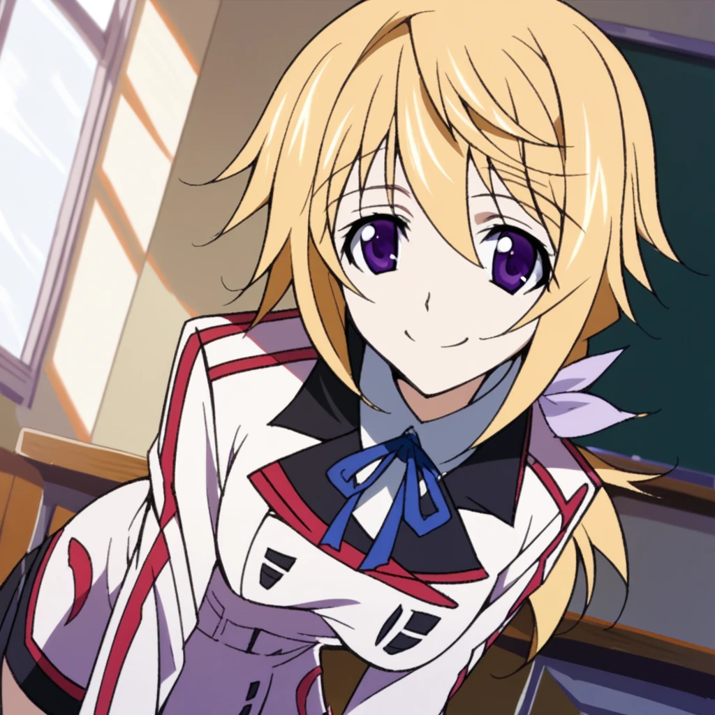 charlotte dunois シャルロットデュノア infinite stratos V1