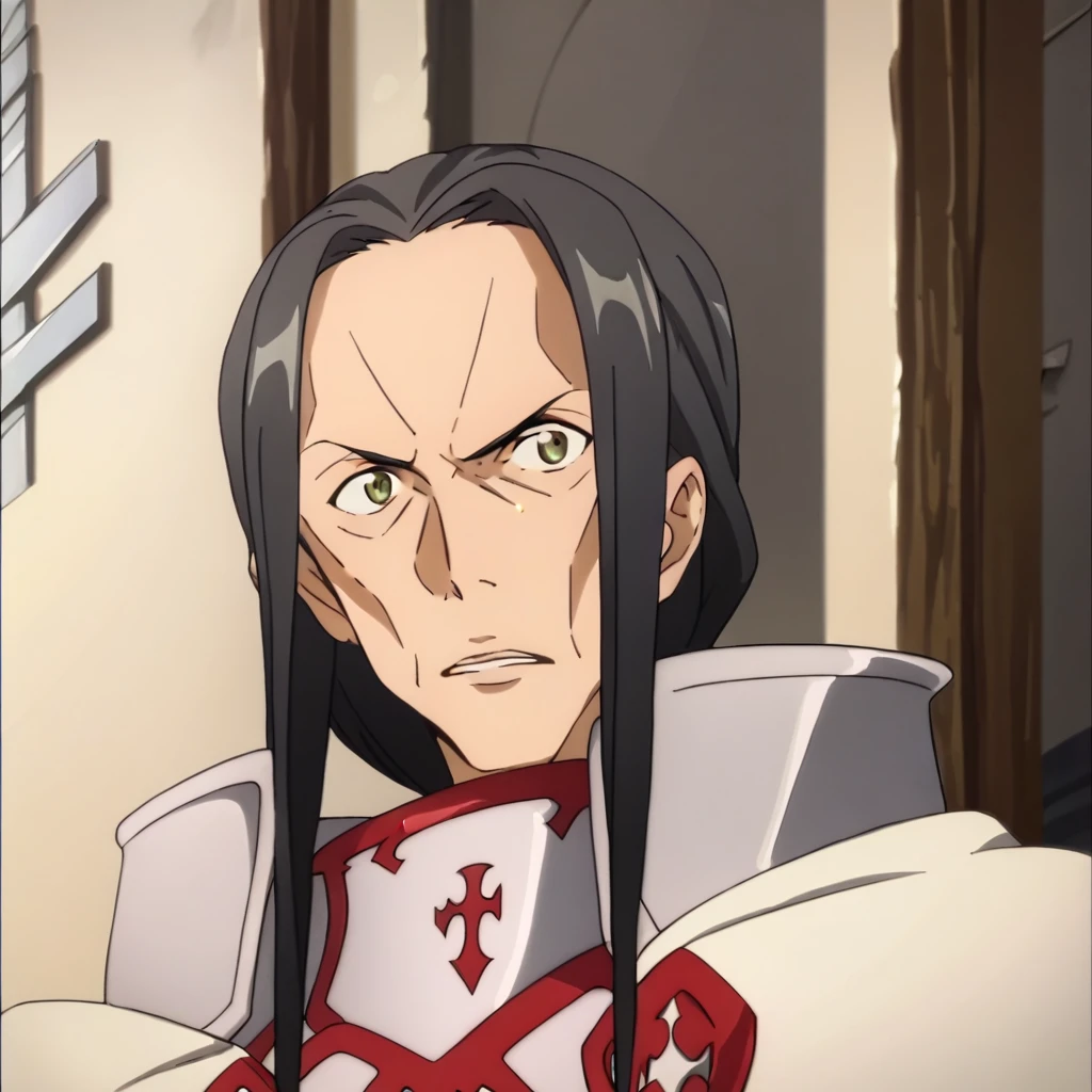 score_9,score_8_up,score_7_up,rating_safe,<lora:kuradeel-step00000800:1>,1boy,kuradeel,black hair,long hair,(sidelocks),male focus,<lora:sao_style_pony:1>,sao_style,