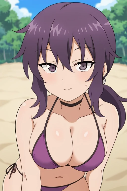 <lora:HanaSensei:0.7>  HanaSensei, 1girl,  looking at viewer, purple bikini, low ponytail, outdoors, beach