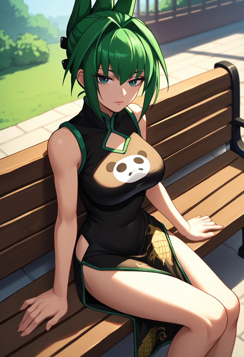 score_9,  score_7_up,  1girl, solo, Jun, green hair, green eyes, large breasts,  updo, spiky hair, black china dress, sitting, bench,   <lora:Tao Jun-000009:1>