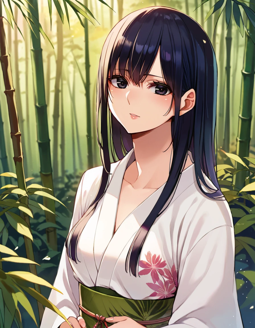 score_9, score_8_up, score_7_up, source_anime,
pinup, 1girl, solo, looking at viewer, 
<lora:Citrus_pony_v1:1> citr, 
outdoors, bamboo forest, 
 black hair, long hair,  black eyes, medium breasts, small breasts, 
japanese clothes, white yukata, floral print,