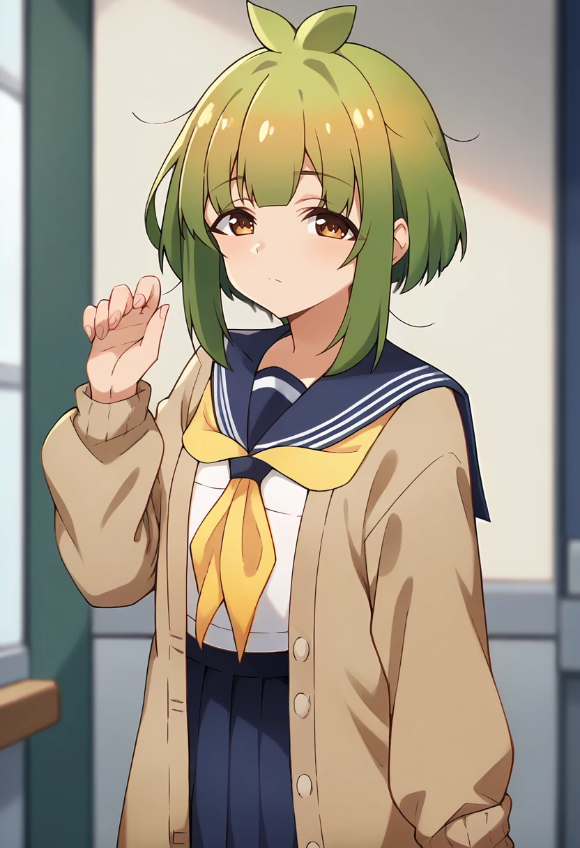 score_9, score_8_up, score_7_up, source_anime, masterpiece, 1girl, ct_bashame, brown cardigan, puffy sleeves, serafuku, blue sailor collar, yellow neckerchief, blue miniskirt, looking at viewer, indoors, depth of field, portrait, shiny skin, hand up, <lora:Bashame_Meme_pony_ct_ver2:1>