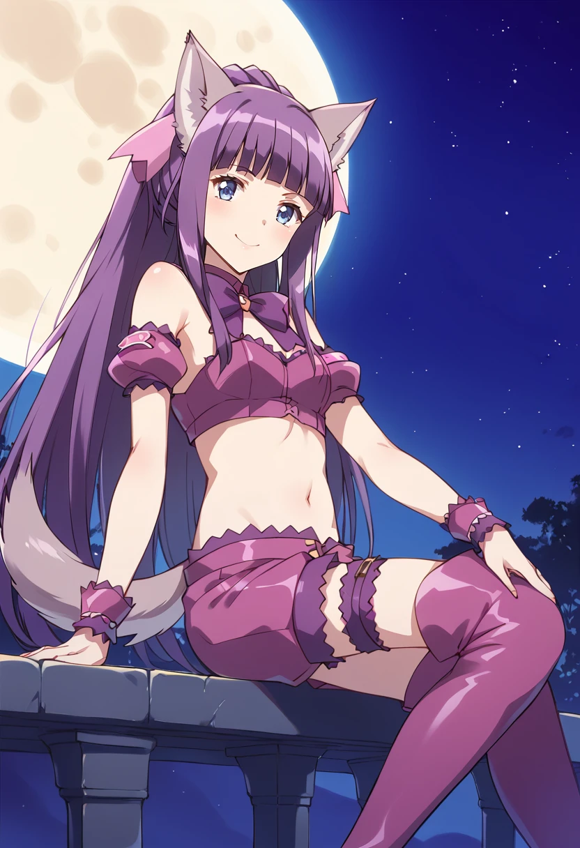 score_9, score_8_up, score_7_up, source_anime, BREAK
mew zakuro, 1girl, solo, purple hair, very long hair, purple eyes, midriff, ponytail, short shorts, hadow, blunt bangs, purple footwear, purple shorts, full moon, shiny hair, looking at viewer, bare shoulders, closed mouth, blue eyes, crop top, wolf ears, smile, wolf tail, night, thigh strap, navel, wrist cuffs, sidelocks, armband, arm garter, eyelashes, sleeveless, small breasts, purple legwear, purple ribbon, starry sky, moonlight, stomach, upper body, purple bow, outdoors, arm strap, eyebrows visible through hair, puffy detached sleeves, purple choker, bandeau, bridal garter, purple footwear, thigh boots
<lora:mew_zakuro_fujiwara_zakuro_sdxl_locon_pony_v1:0.7>