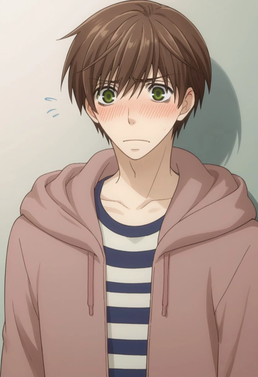 score_9, score_8_up, score_7_up, source_anime, highly detailed, 
ritsuonodera, 1boy, male focus, green eyes, solo, brown hair, hood, striped, striped shirt, hoodie, blush, embarassed,