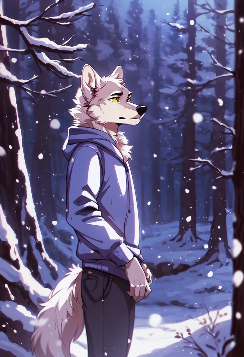 score_9, score_8_up, score_7_up, score_6_up, HRMN, 1boy, wolf, anthropomorphic, standing, yellow eyes, white fur, snow falling, snowy forest background, night scene, detailed, shaded, somber atmosphere, contemplative expression