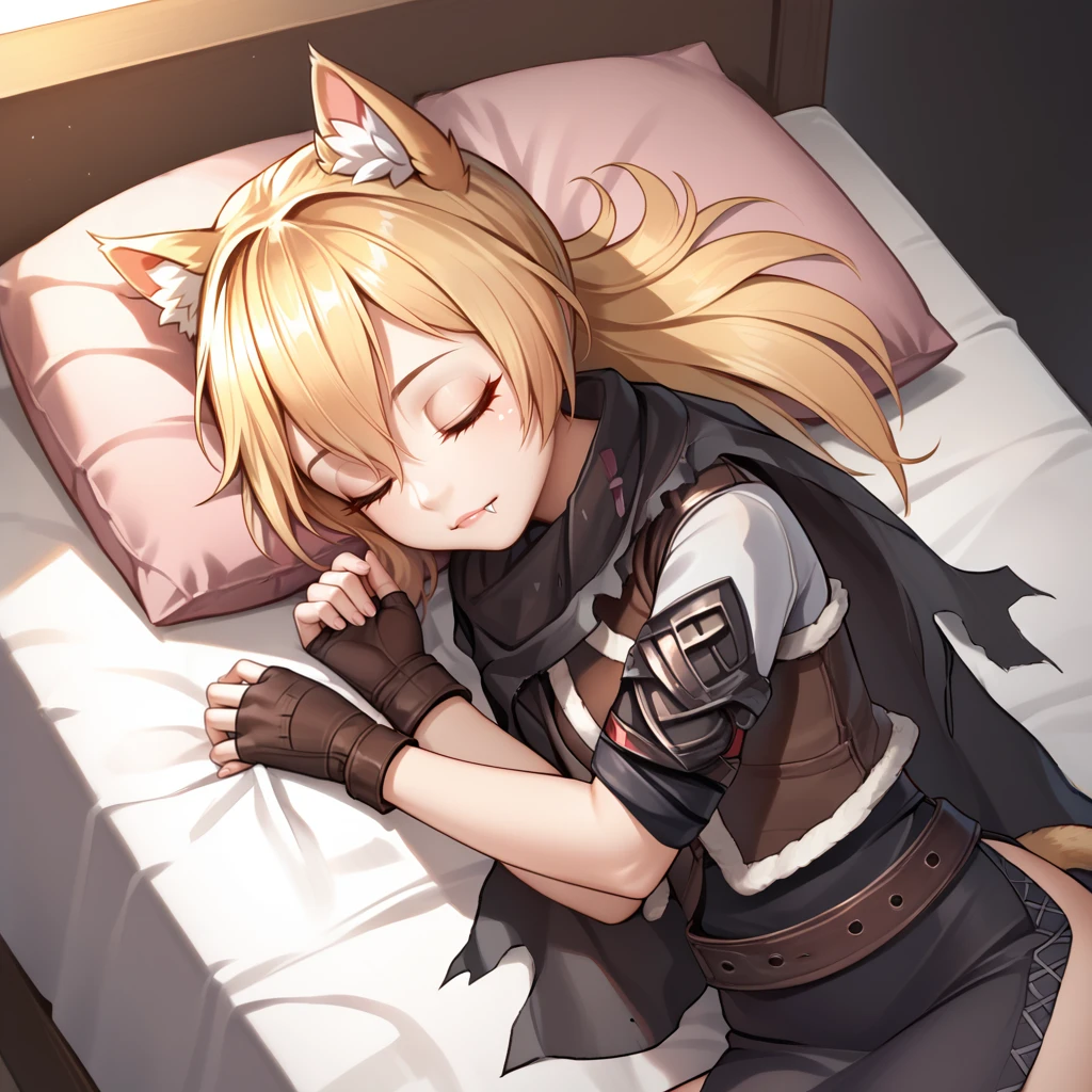 <lora:IDW (4):1>,1girl,solo,idw \(girls' frontline\),idw \(cloak and cat ears\),blonde hair,hair between eyes,long hair,cat ears,animal ear fluff,fangs,cat tail,black undershirt,fur vest,fingerless gloves,black cloak,torn cloak,burnt cloak,belt accessory,
from above,sleeping,on bed,black bed,pink pillows,fetal position,on side,, score_9, score_8_up, score_7_up, perfect anatomy, source_anime, zPDXL2,