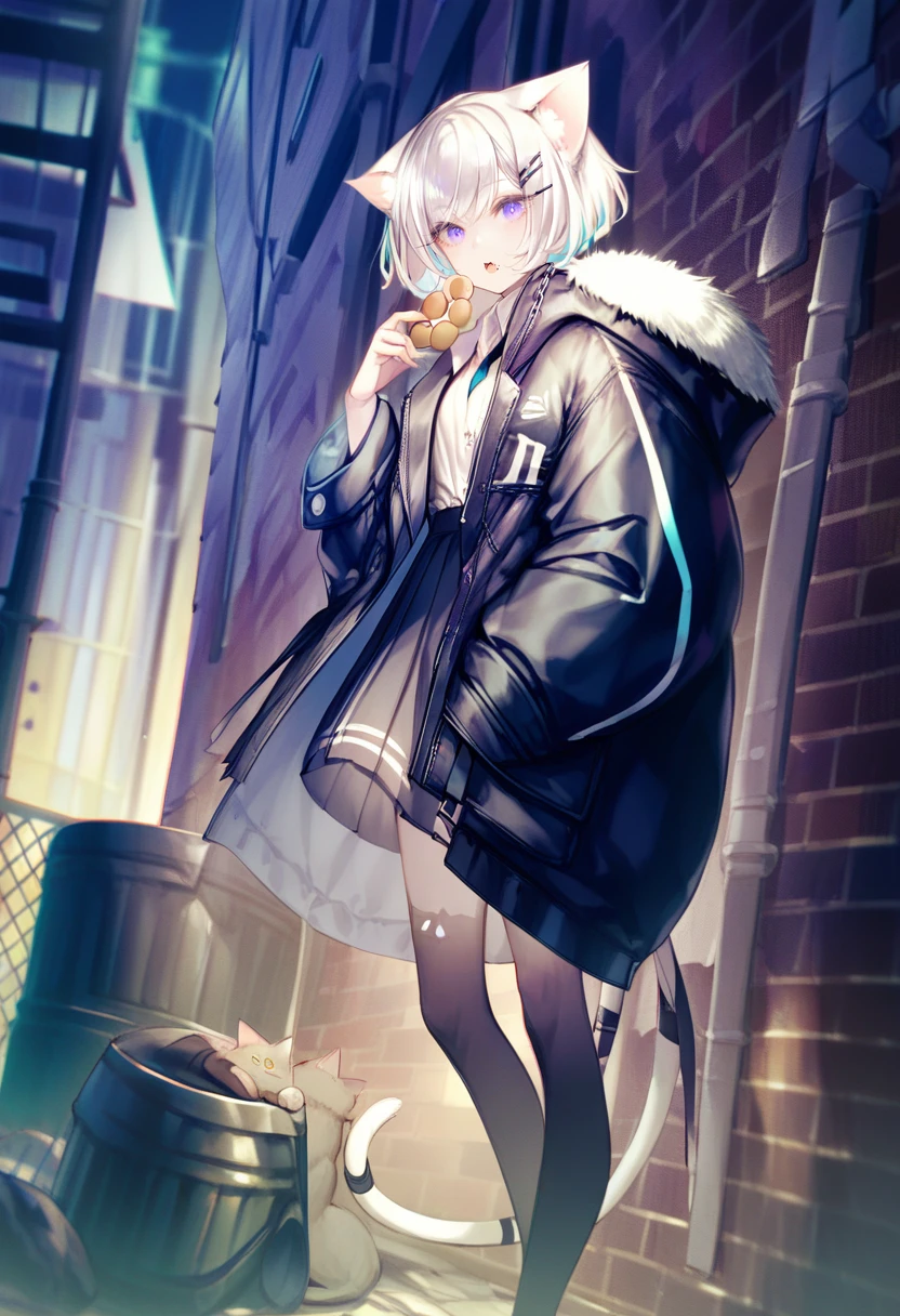 score_9, score_8_up, score_7_up, score_6_up, <lora:yoggiXL_P6_lokr_V43P1:0.95> 1girl, cat, animal ears, food, chain-link fence, outdoors, solo, tail, fence, white hair, jacket, holding food, holding, skirt, hair ornament, fur trim, blue eyes, doughnut, hairclip, cat tail, shirt, cat ears, long sleeves, open clothes, pleated skirt, trash can, hood, alley, white shirt, eating, night, puffy long sleeves, hooded jacket, collared shirt, cat girl, bag, black jacket, fur-trimmed hood, black cat, building, looking at viewer, standing, hood down, feet out of frame, open jacket, open mouth, pantyhose, hand in pocket, necktie, brick wall, animal, animal ear fluff, blurry, thighhighs, puffy sleeves, coat, purple eyes, fur-trimmed jacket, long hair, fur-trimmed coat, city, multicolored hair, graffiti, black skirt